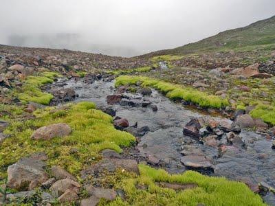 Tour d'Islande (4)