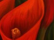 Anne Drouin langage fleurs