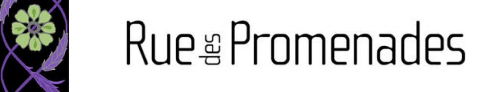 Rue des Promenades : des fonctionnalités étendues pour la lecture en ligne