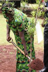 Wangari Maathai, la Femme des arbres