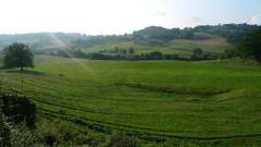 Copine comme cochonne