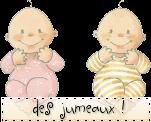 img407/5420/jumeaux2yy5.gif