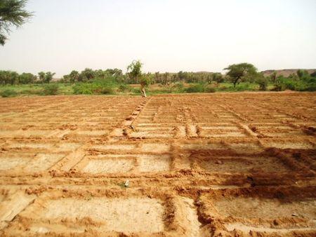 Tchirozérine et le Massif de lAïr : poèmes irrigations_1_
