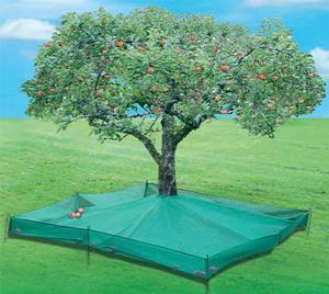 Cueillez vos Fruits sans vous Prendre la Tête