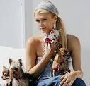 Paris Hilton dépense 325.00 $ pour ses chiens