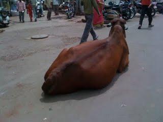 Petit apercu des différents moyens de transport