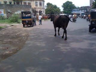 Petit apercu des différents moyens de transport