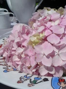 Bouquet HOrtensia drôle de variante ! Bouquet HOrtensia drôle de variante !