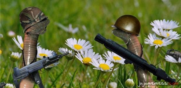 [Image] Les Worms existent vraiment !