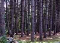 Bientôt la tournée des ateliers chez les Créateurs de la Petite-Nation