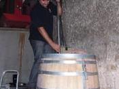 Vendanges Château Cornélie