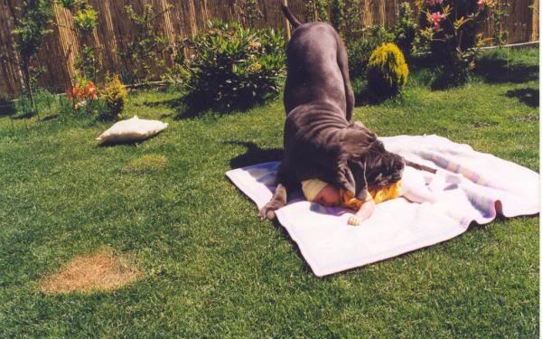 Photo Sharing and Video Hosting at Photobucket