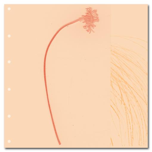 Pastel Time _31_32_33