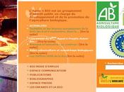 Agence Lorsque s’invite