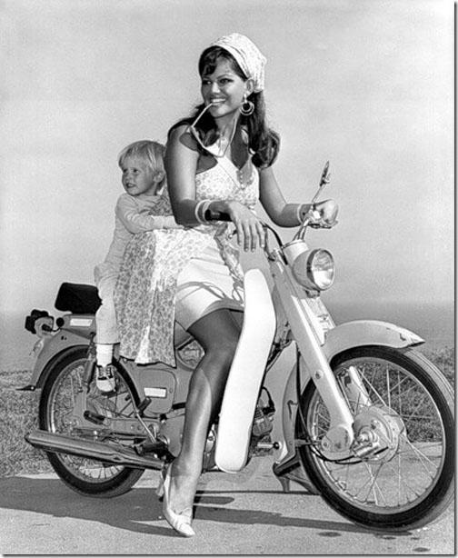 http://media.paperblog.fr/i/220/2209629/claudia-cardinale-los-angeles-1966-L-3.jpeg