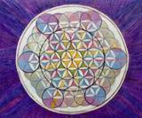 Interview du dr Dieter Broers biophysicien à propos de 2012