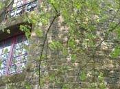 Cahier vacances. Exercice