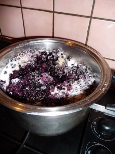 A bas les mûres ! P1080194.JPG