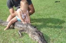 Un enfant sur un crocodile