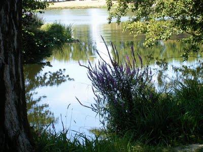 et puis, pluie d'été...