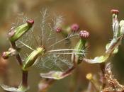 Photos jour: août 2009