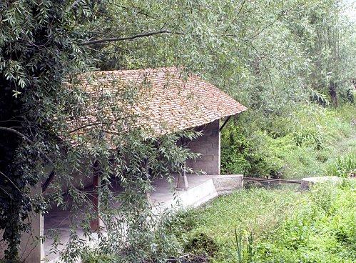 TARTELETTES AUX MIRABELLES, LE SOLEIL DANS L'ASSIETTE