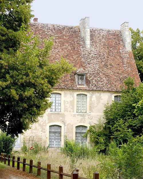 TARTELETTES AUX MIRABELLES, LE SOLEIL DANS L'ASSIETTE
