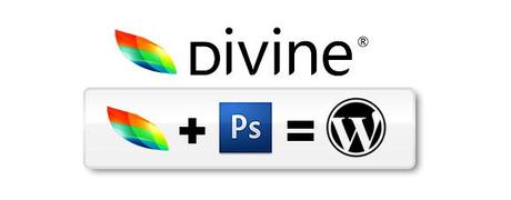 Divine, créer un template wordpress depuis Photoshop