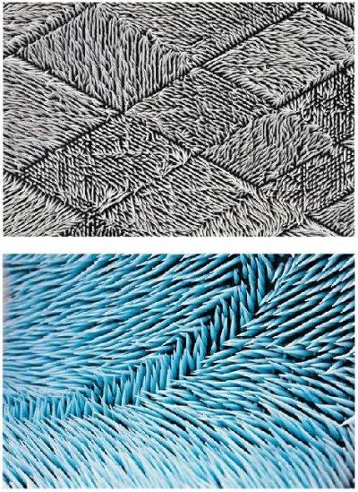 Un tapis mural ? miranda, giles miller