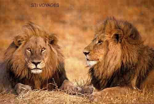 C’est une bonne chose.