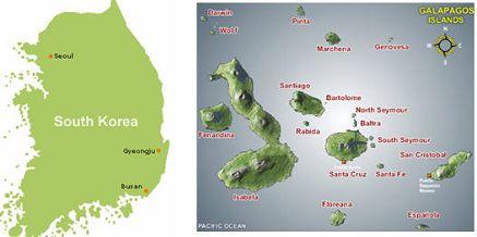 La Corée, les nouvelles îles Galapagos du monde digital ?