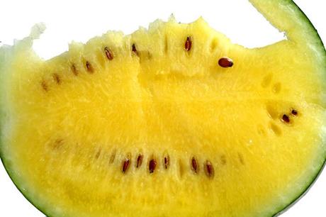 Yellow watermelon pasteque jaune Melancia amarela