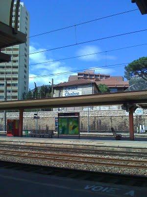 Dans la mémoire de mon téléphone - huitième