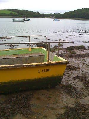 Dans la mémoire de mon téléphone - huitième