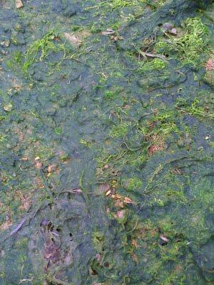 Dans la mémoire de mon téléphone - huitième