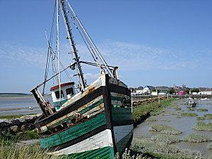 Transhumance estivale