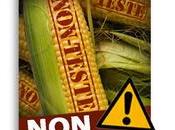 Maïs SmartStax super profit pour Monsanto