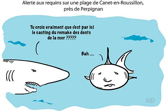 Alerte aux requins sur une plage de Canet-en-Roussillon, près de Perpignan