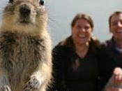 Insolite l'écureuil Melissa Brandts star