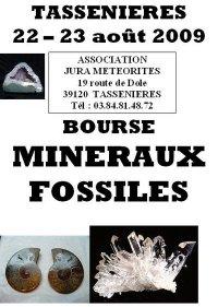 5ème bourse aux minéraux et fossiles à Tassenières