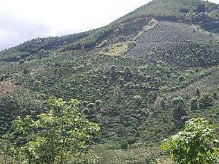 Les hauts plateaux du centre