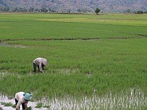 Les hauts plateaux du centre