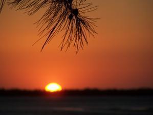 MADAGASCAR 10 : BELO SUR MER ET MORONDAVA