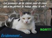 premier classe=réussite professionelle...