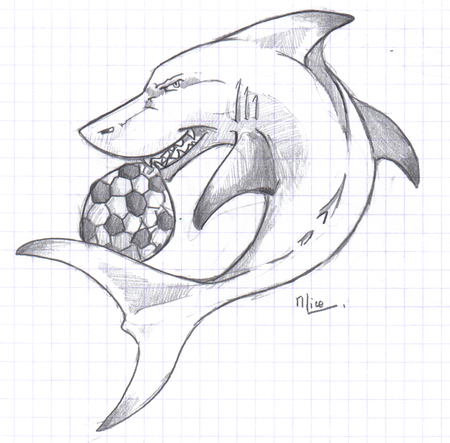 shark