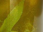 Reines-claudes suite confiture citron vert verveine