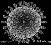 Virus H1N1 grippe porcine ou nord-américaine