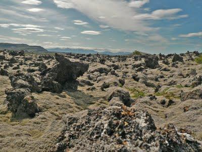 Tour d'Islande : photos bonus !