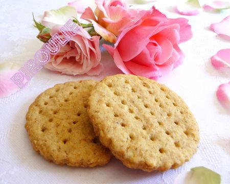 digestive_biscuit__5_