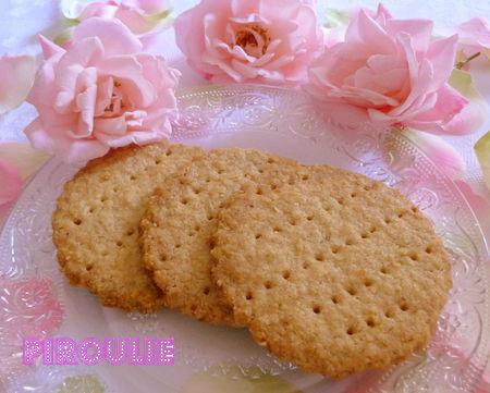 digestive_biscuit__4_